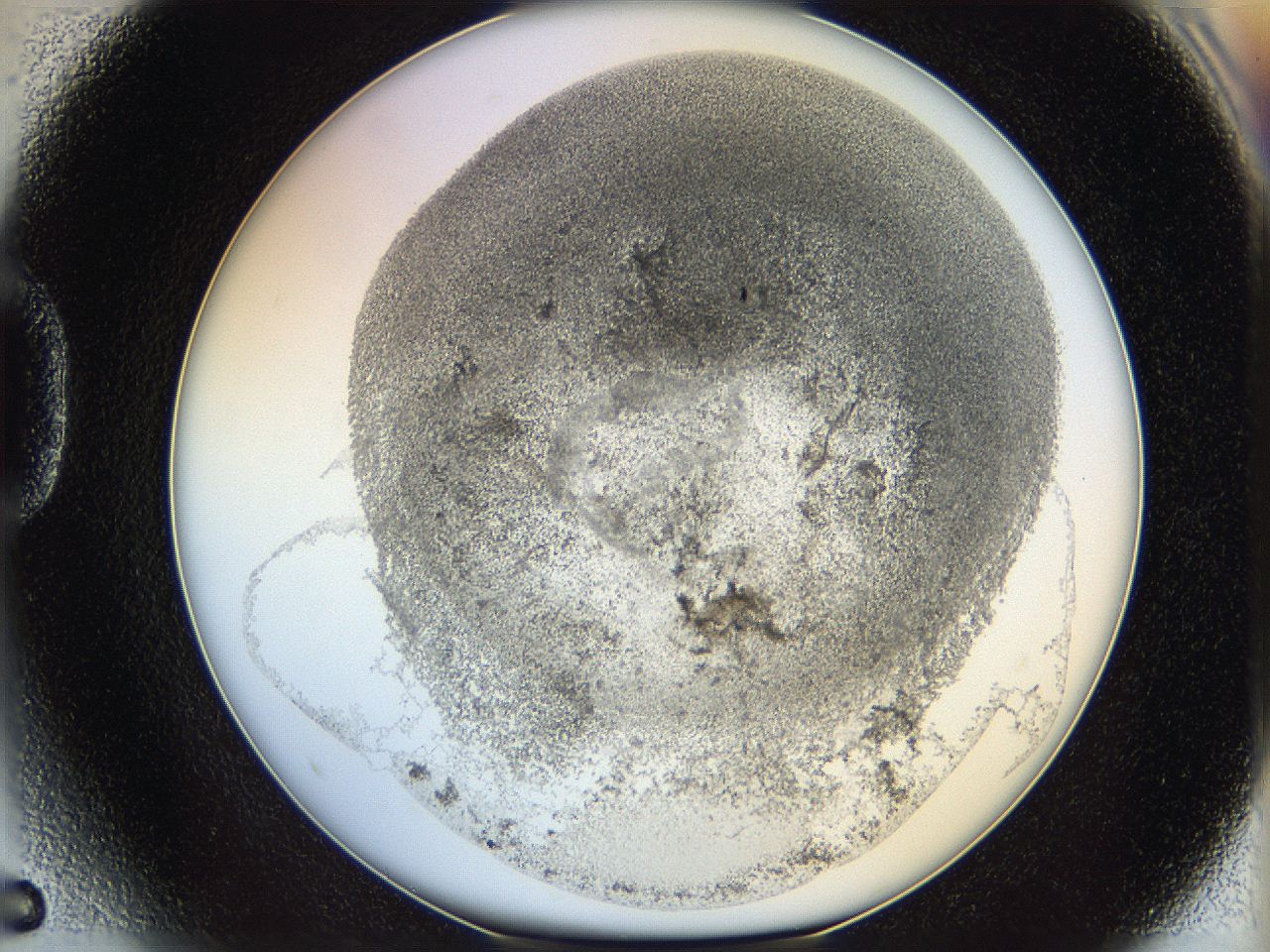 06i3_D5_ImagerDefaults_3.jpg
