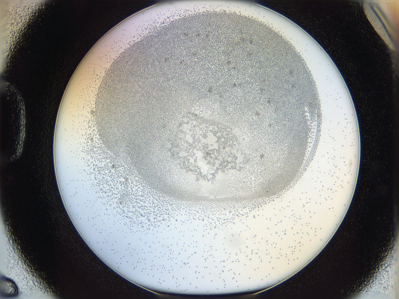 06i3_D6_ImagerDefaults_5.jpg