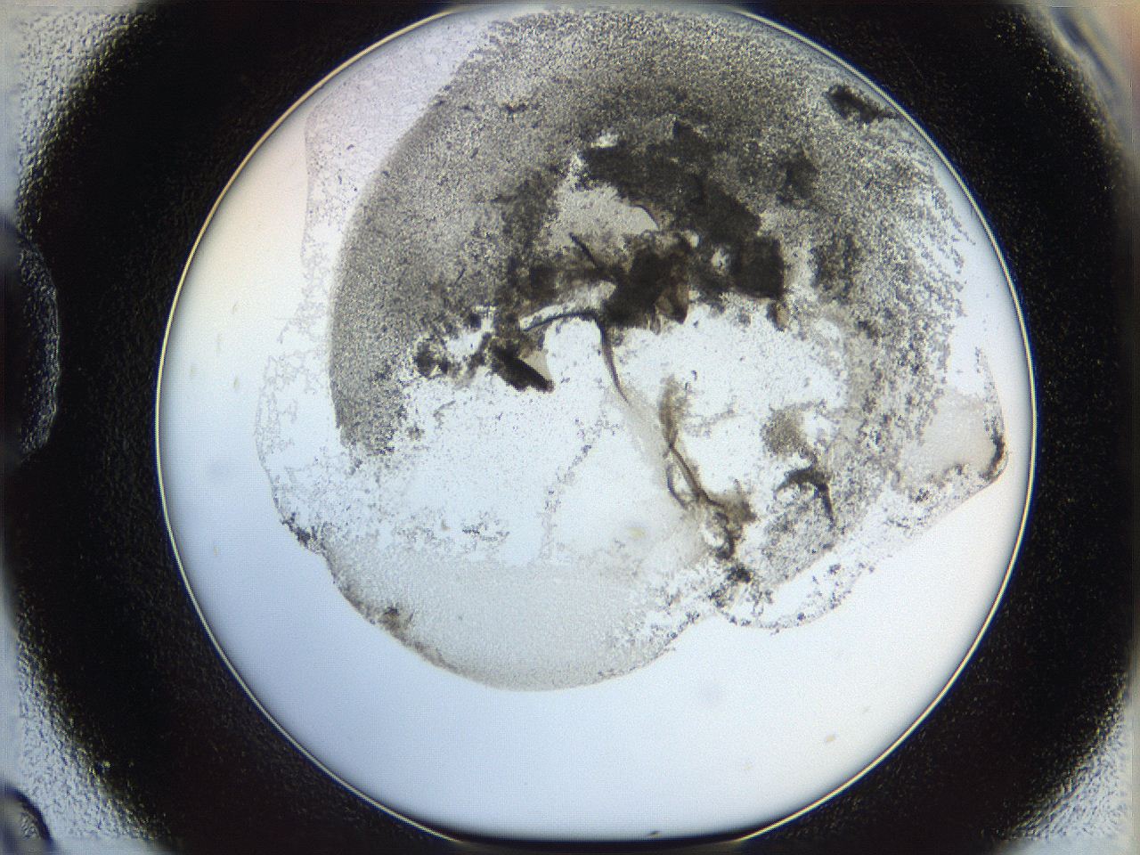 06i3_D9_ImagerDefaults_3.jpg