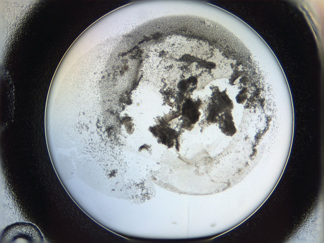 06i3_D10_ImagerDefaults_3.jpg