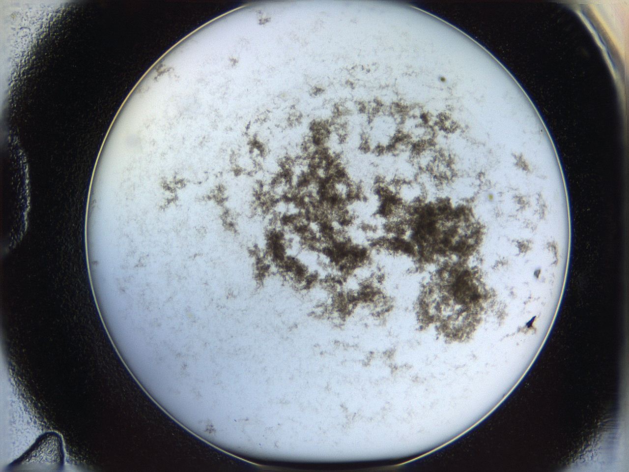 06i3_D11_ImagerDefaults_3.jpg
