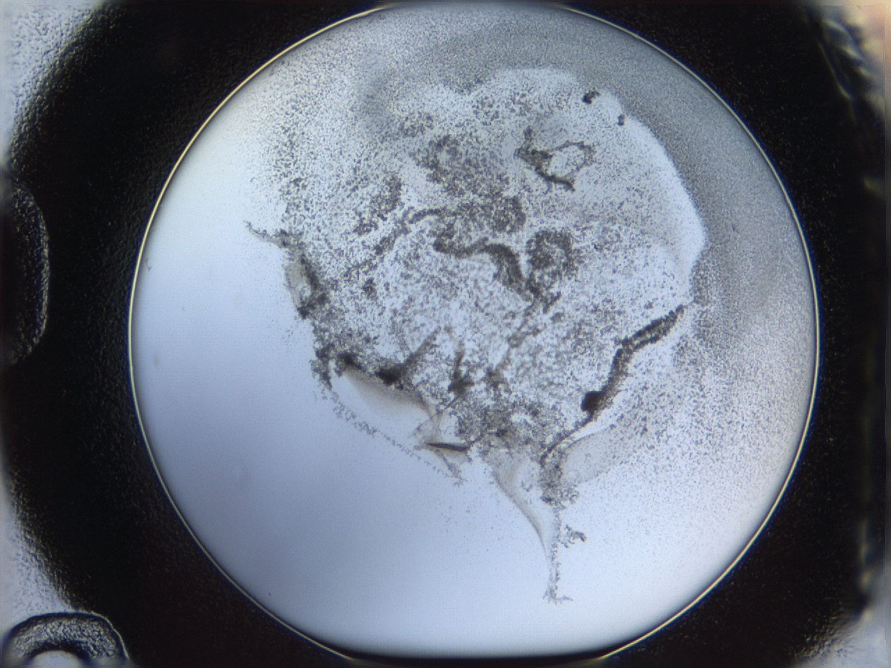 06i3_D12_ImagerDefaults_3.jpg
