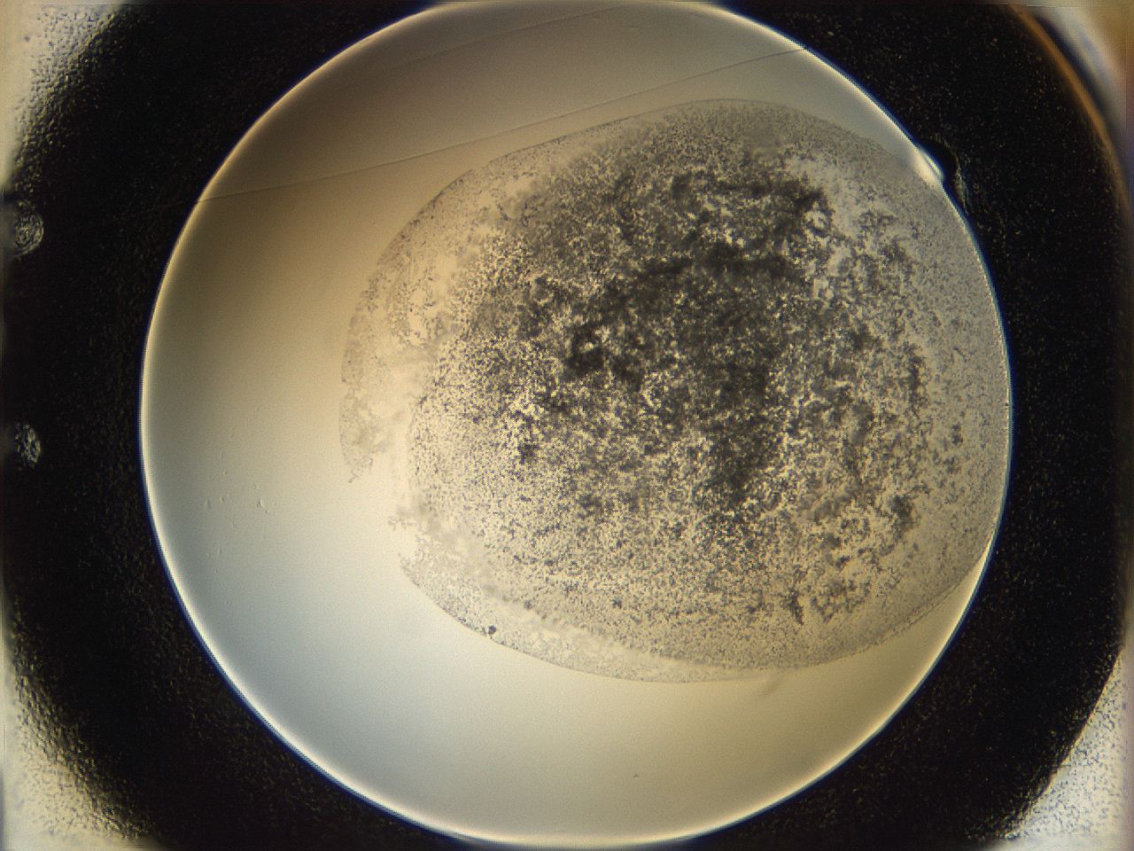 06i3_E1_ImagerDefaults_3.jpg