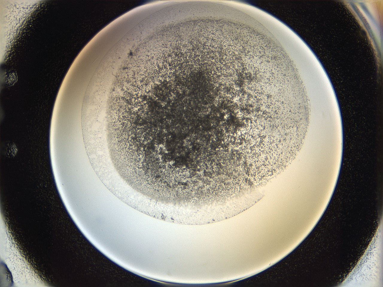 06i3_E2_ImagerDefaults_3.jpg