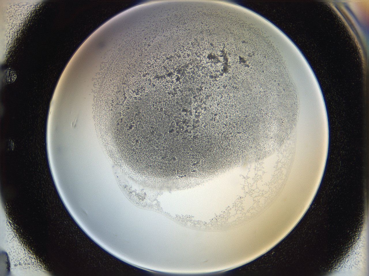 06i3_E4_ImagerDefaults_2.jpg