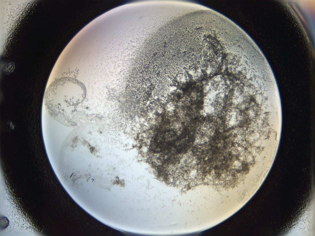 06i3_E5_ImagerDefaults_3.jpg