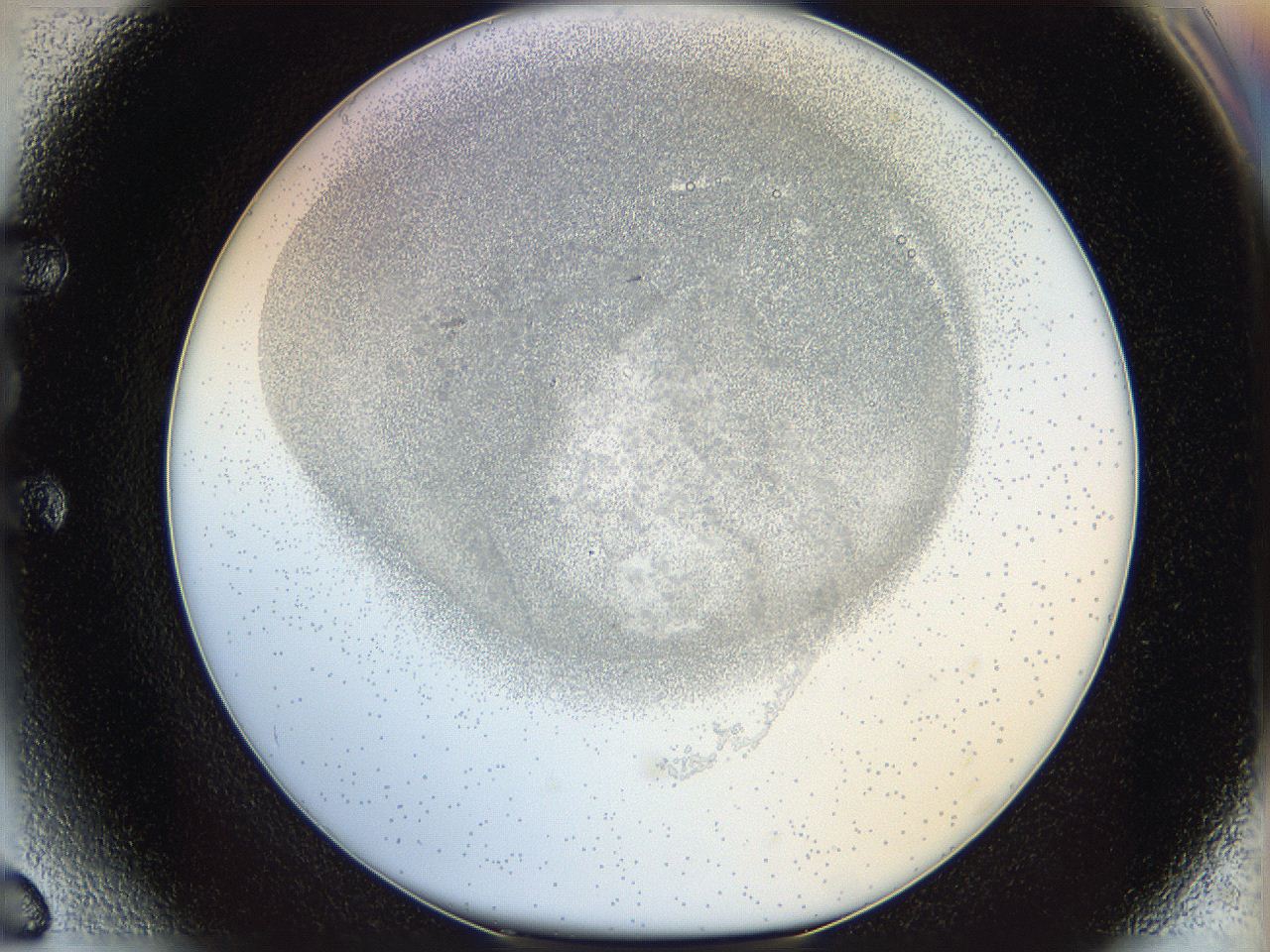 06i3_E6_ImagerDefaults_5.jpg