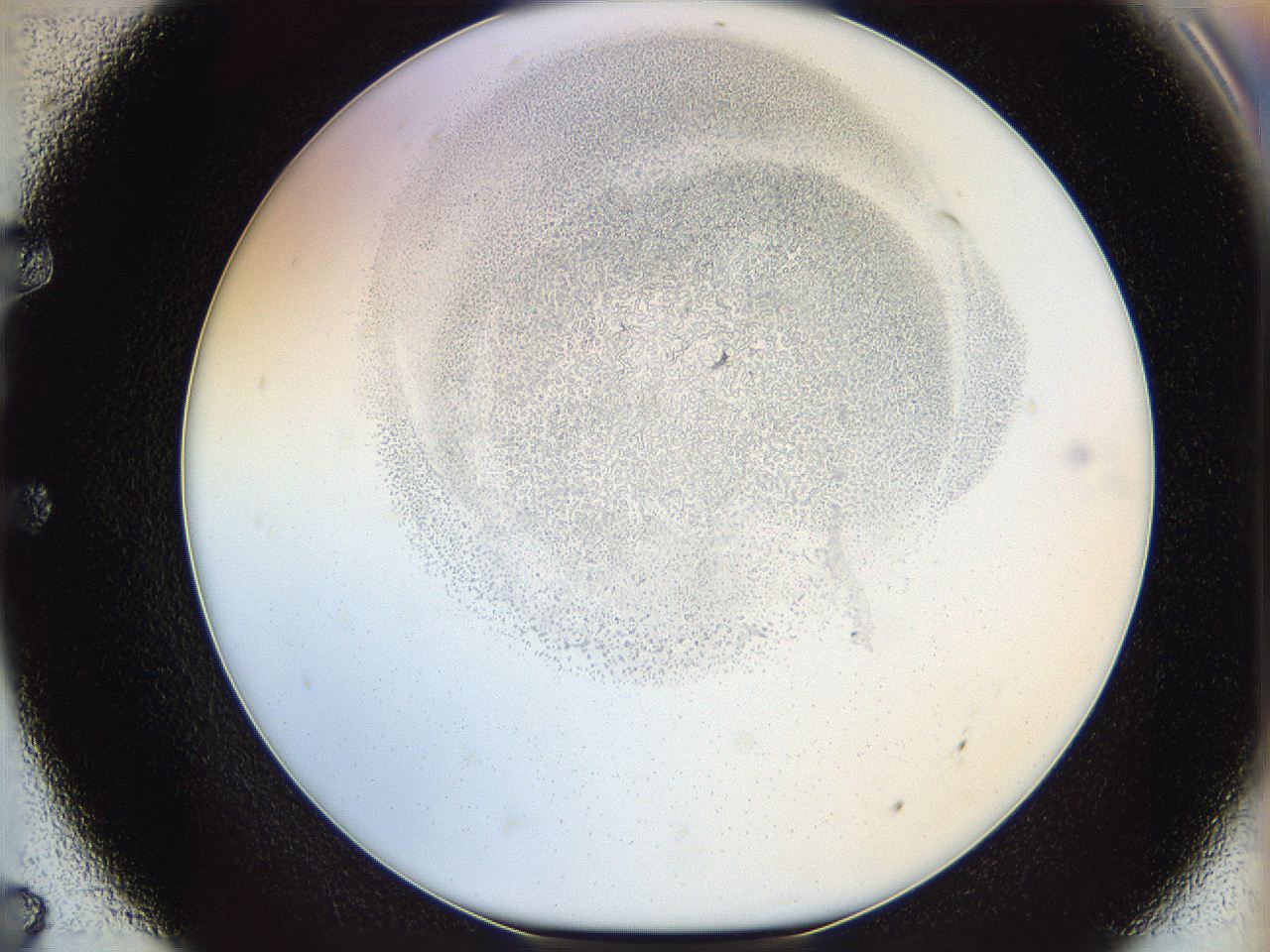 06i3_E7_ImagerDefaults_5.jpg