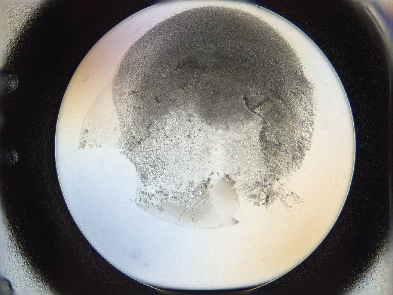 06i3_E8_ImagerDefaults_3.jpg