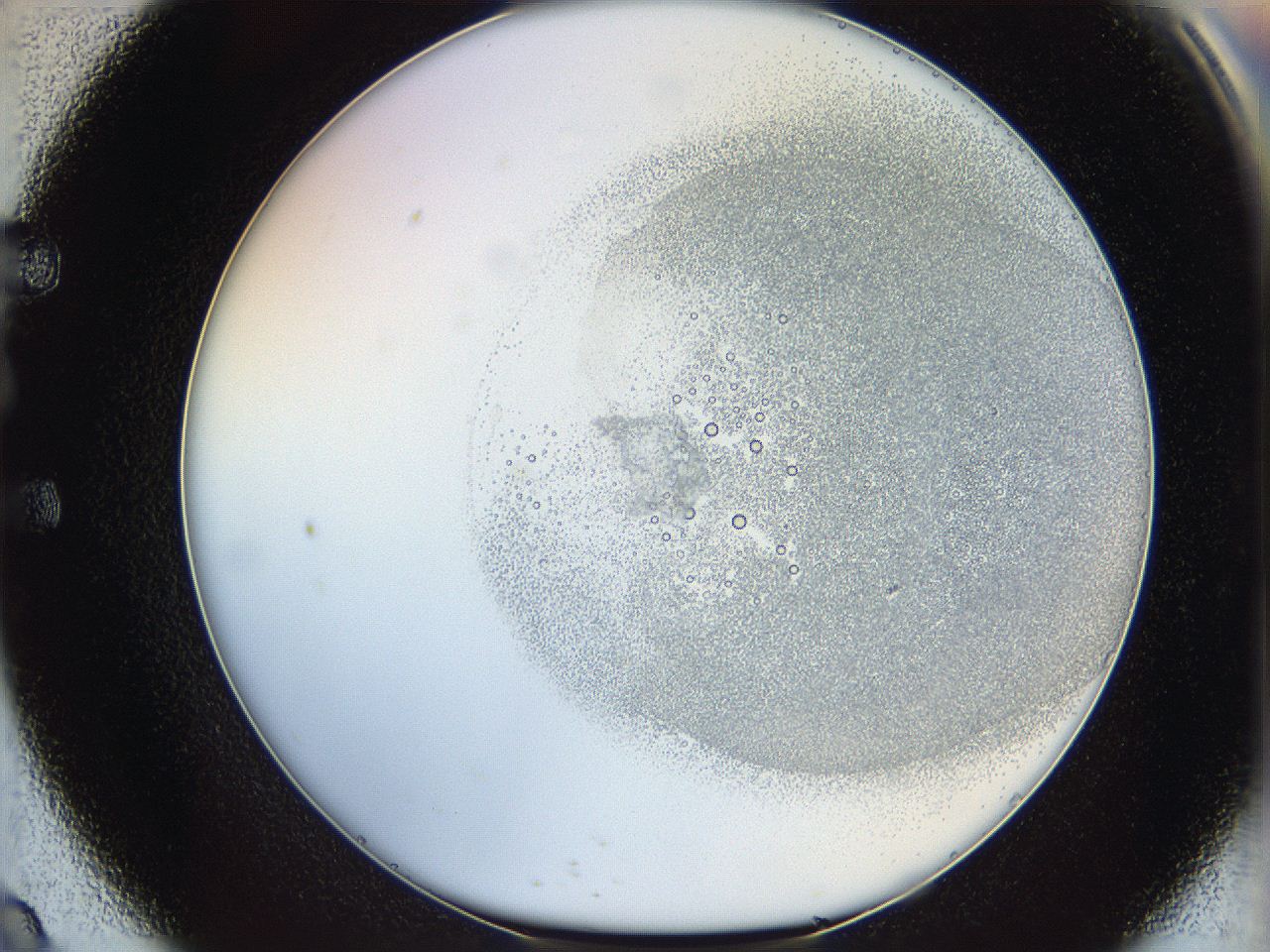 06i3_E9_ImagerDefaults_5.jpg