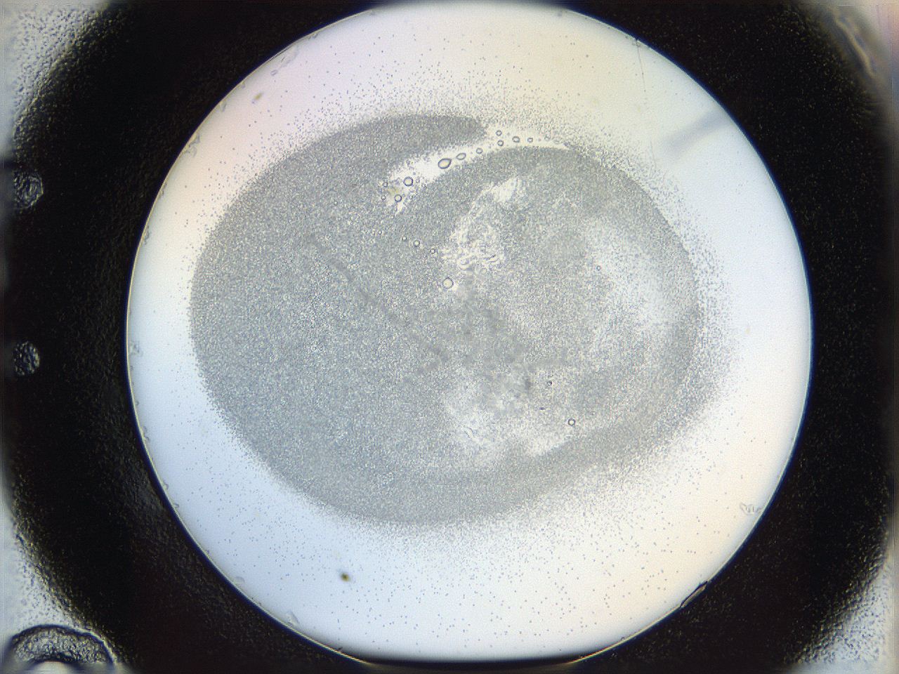 06i3_E10_ImagerDefaults_5.jpg