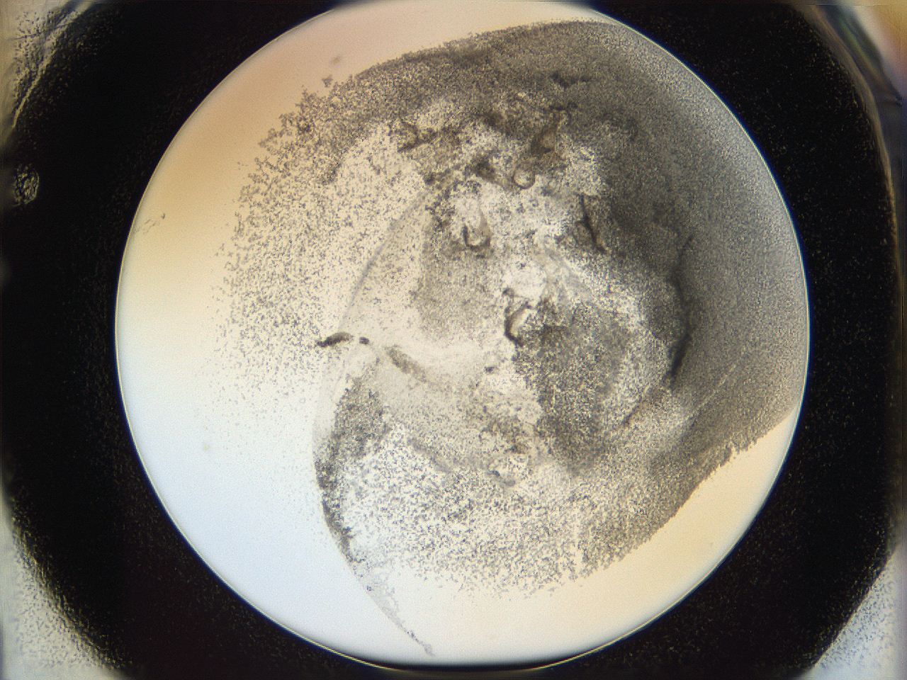 06i3_F1_ImagerDefaults_3.jpg