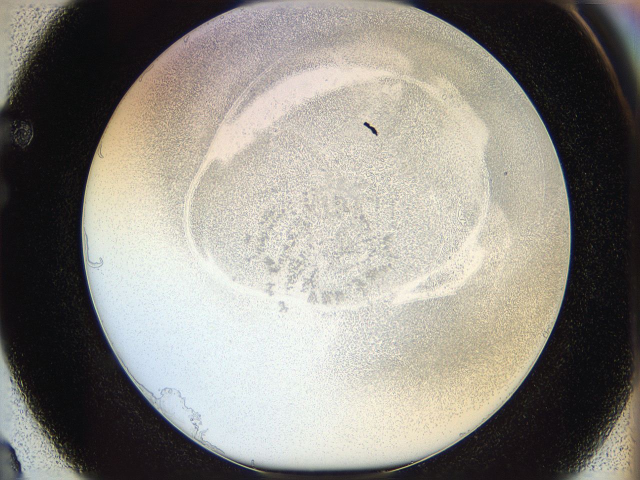 06i3_F3_ImagerDefaults_5.jpg