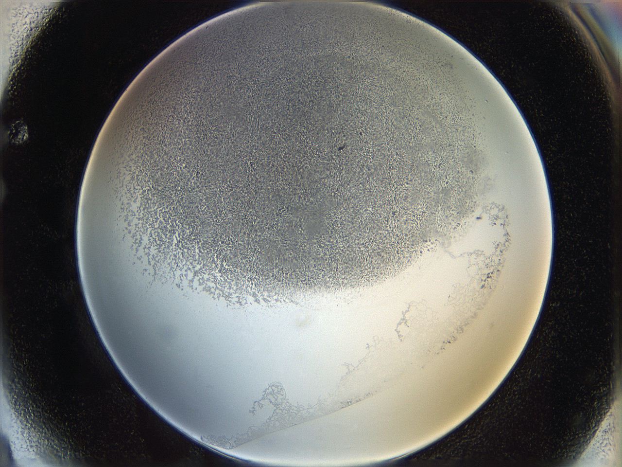 06i3_F4_ImagerDefaults_3.jpg