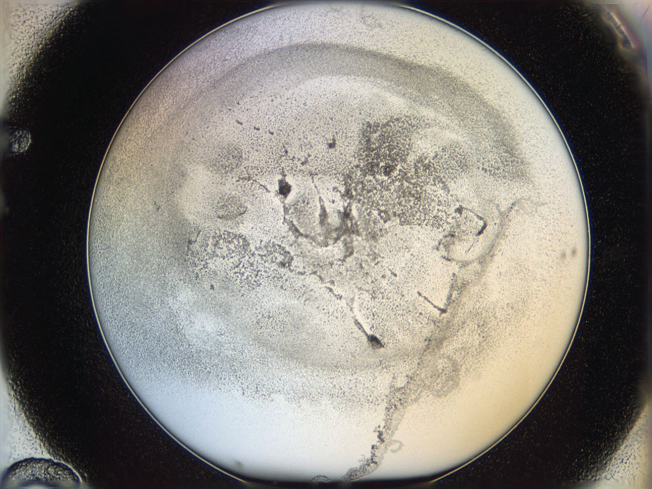 06i3_F10_ImagerDefaults_3.jpg