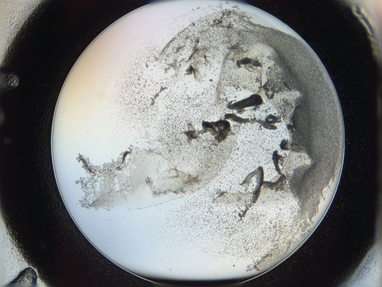 06i3_F11_ImagerDefaults_3.jpg