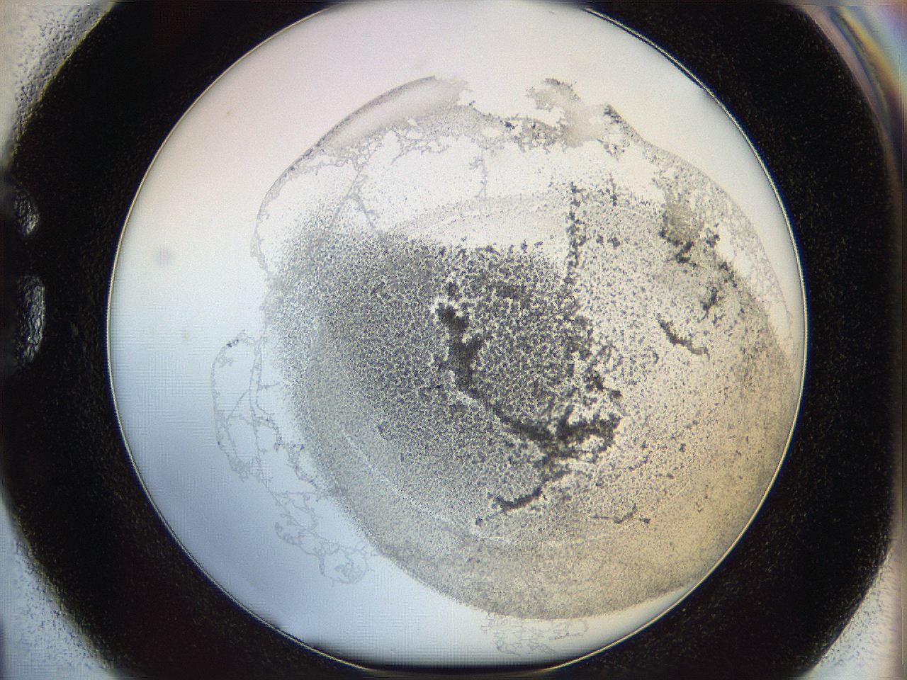 06i3_G1_ImagerDefaults_3.jpg