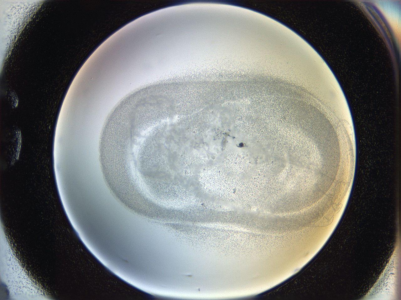 06i3_G4_ImagerDefaults_5.jpg