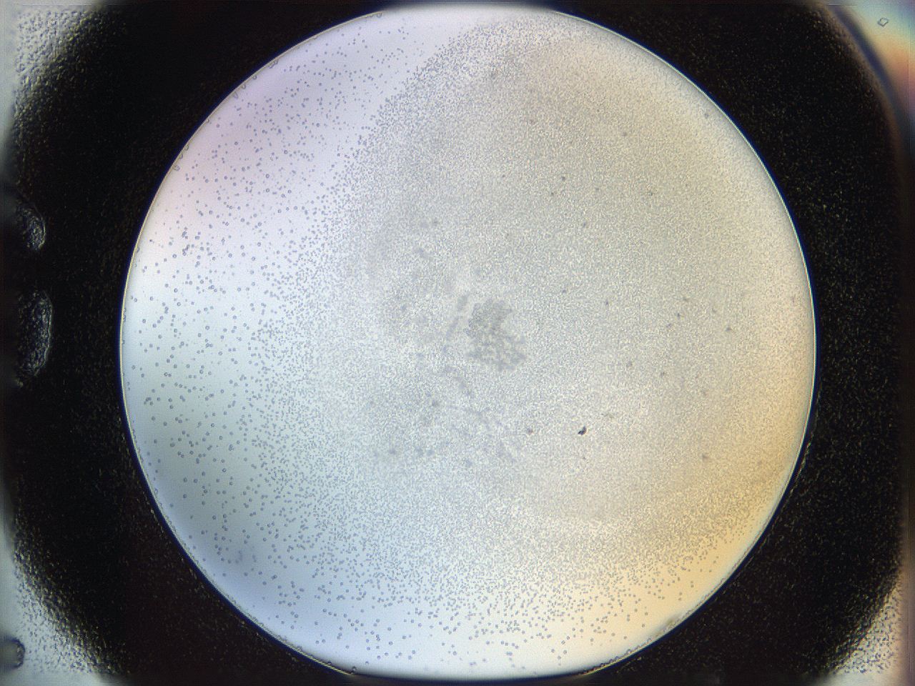 06i3_G5_ImagerDefaults_5.jpg