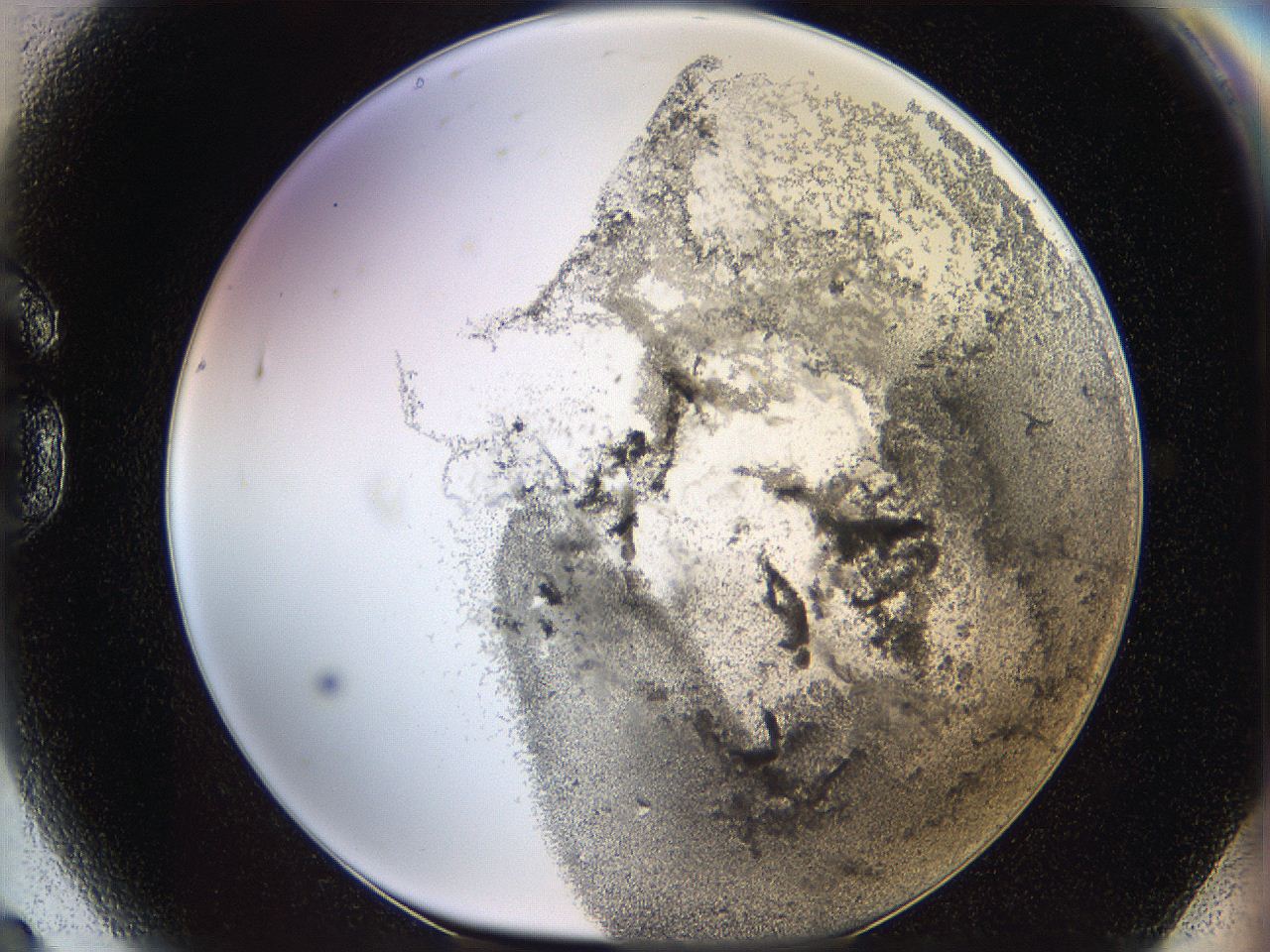 06i3_G9_ImagerDefaults_3.jpg