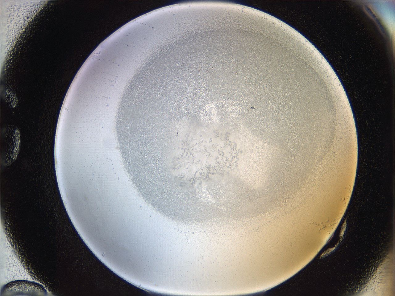 06i3_G10_ImagerDefaults_5.jpg