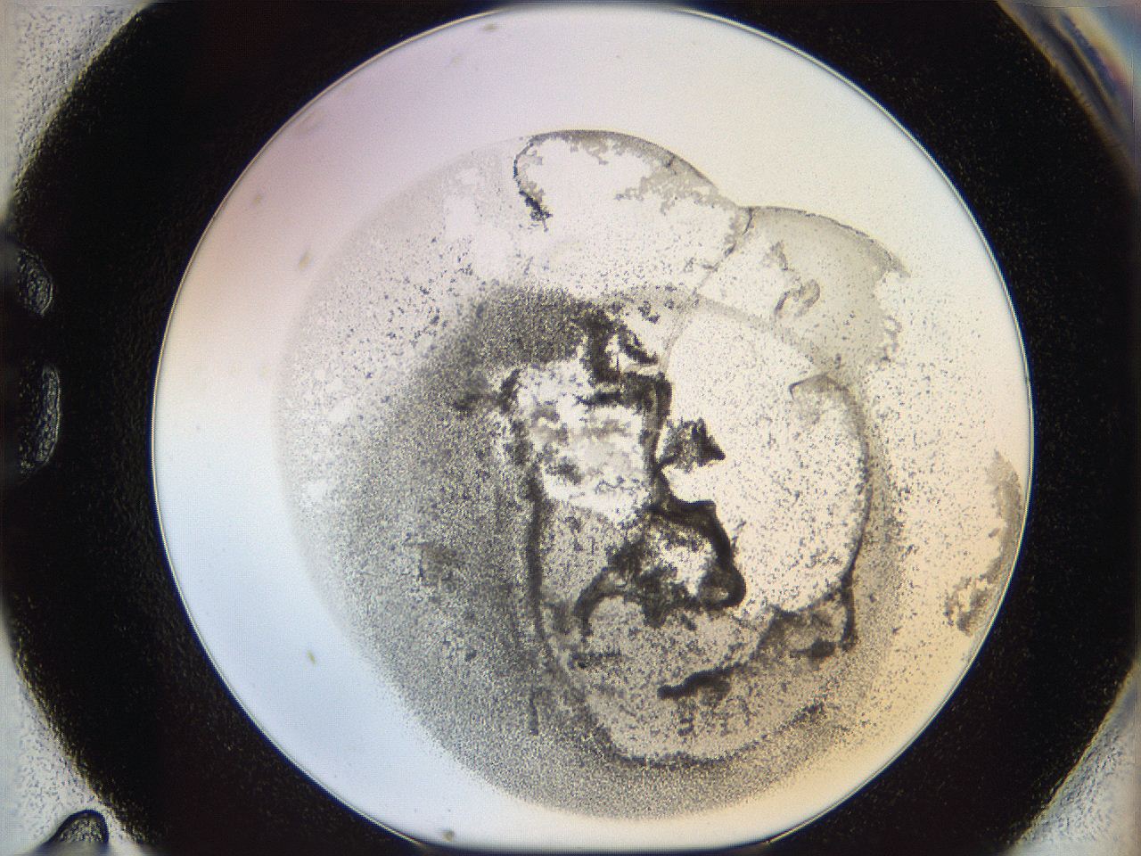 06i3_G11_ImagerDefaults_3.jpg