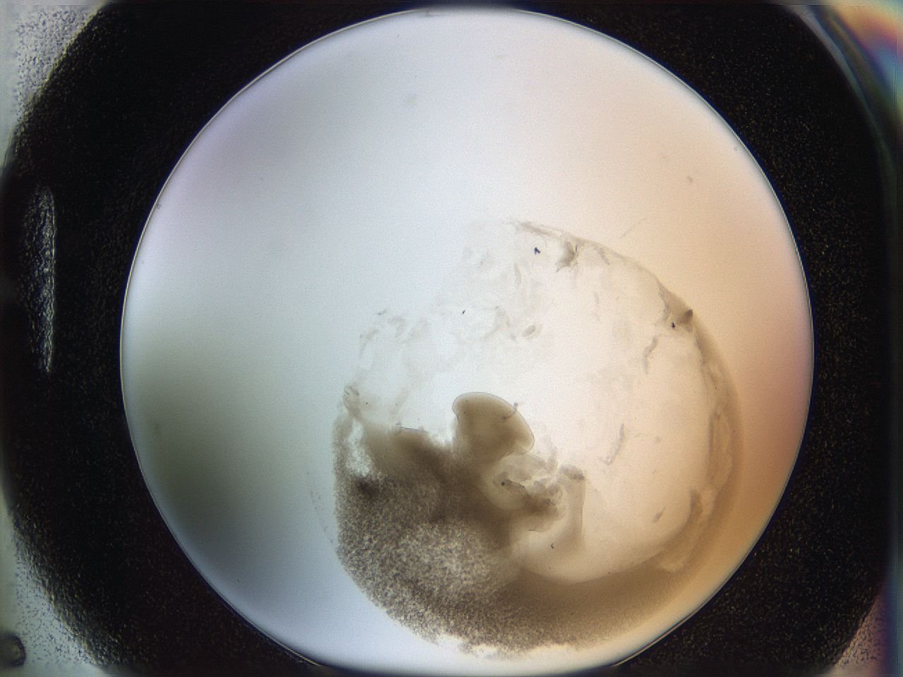 06i3_H5_ImagerDefaults_3.jpg
