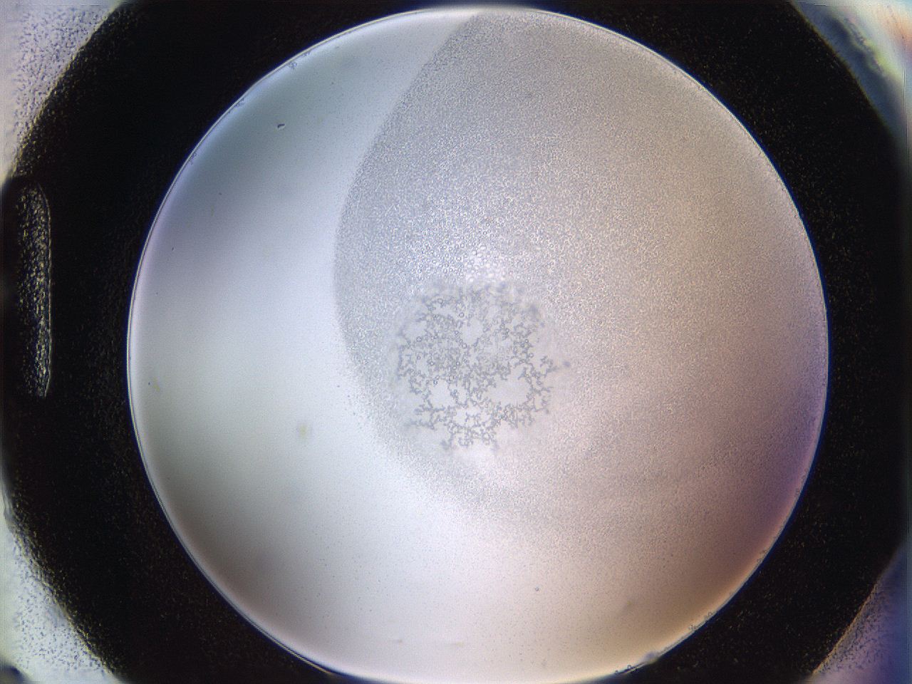 06i3_H9_ImagerDefaults_5.jpg