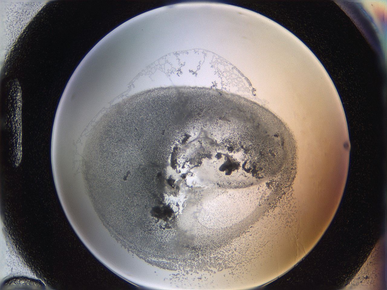 06i3_H10_ImagerDefaults_3.jpg