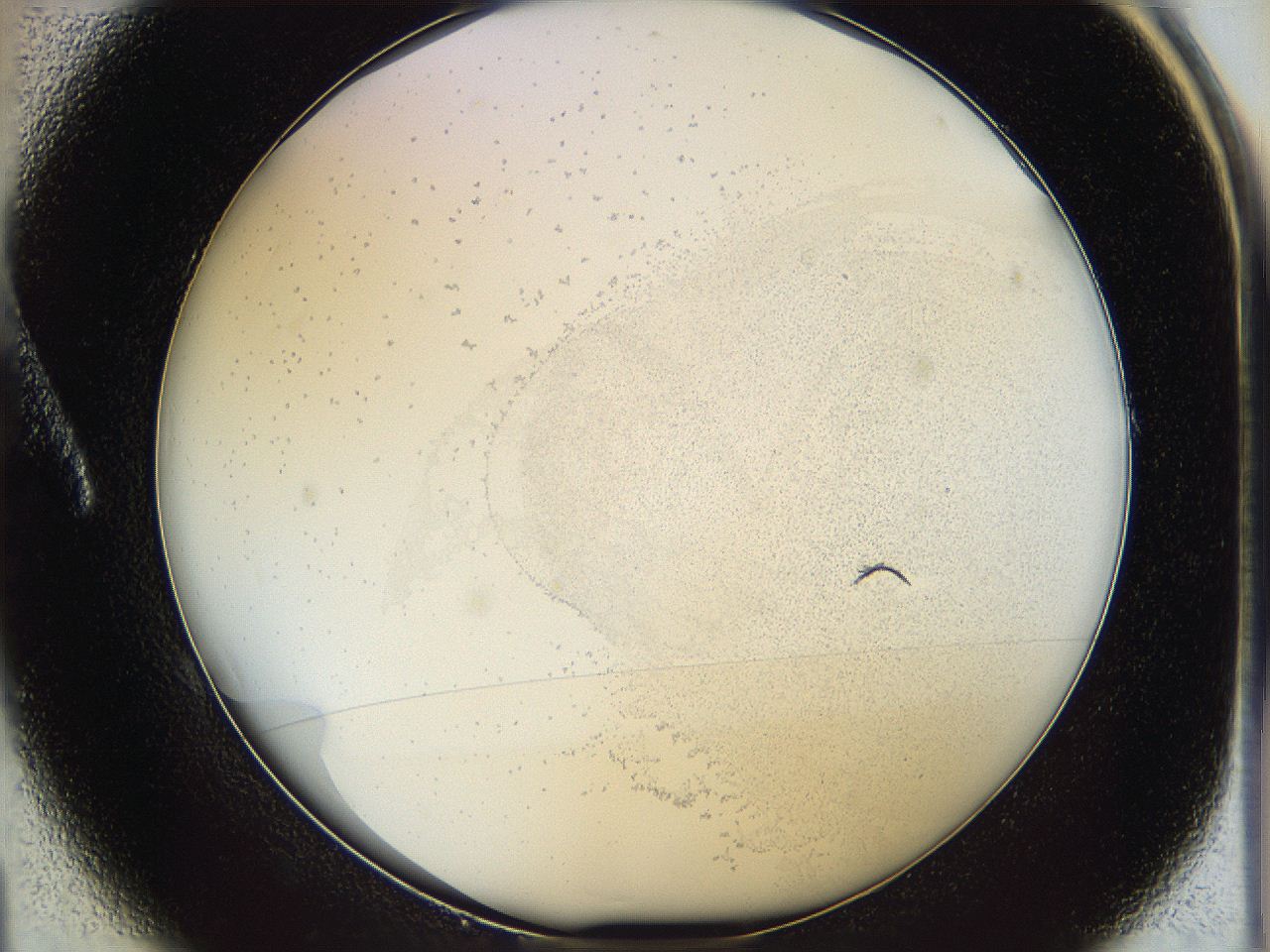 06i4_A1_ImagerDefaults_2.jpg