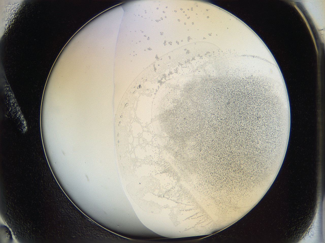 06i4_A2_ImagerDefaults_5.jpg