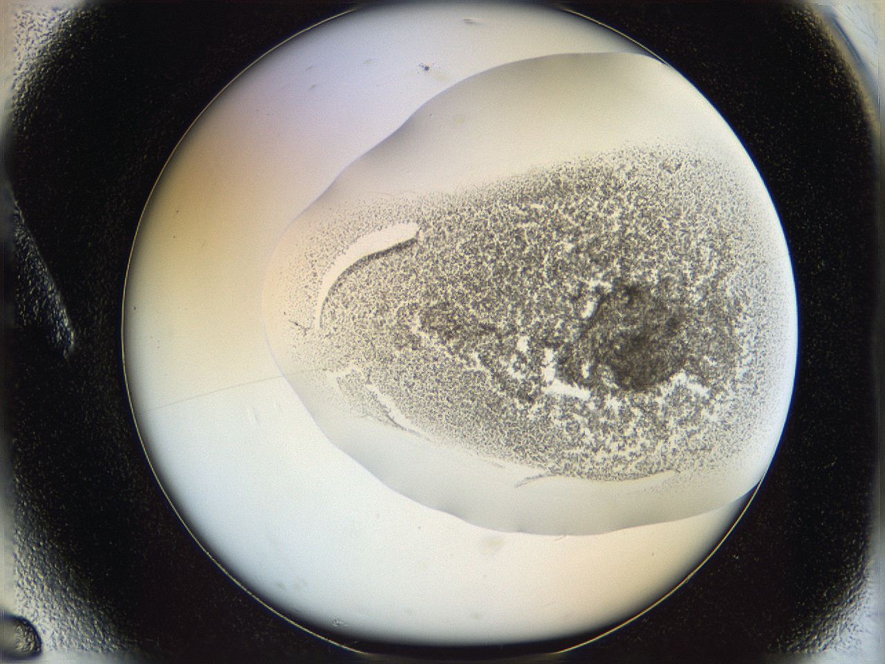 06i4_A6_ImagerDefaults_3.jpg