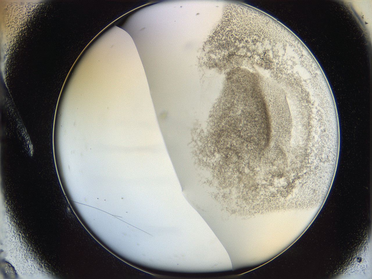 06i4_A9_ImagerDefaults_3.jpg