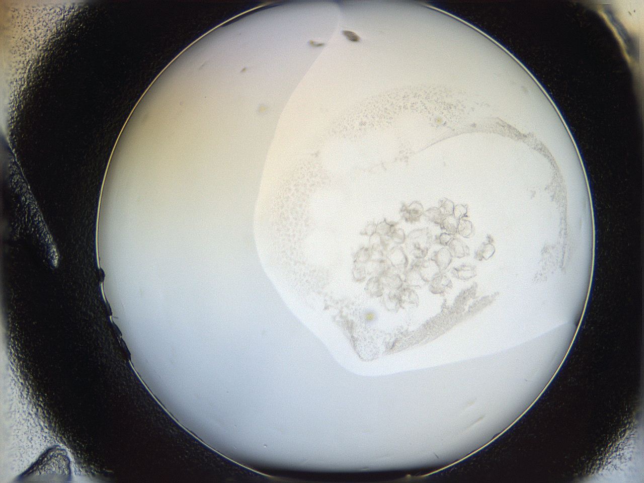 06i4_A11_ImagerDefaults_3.jpg