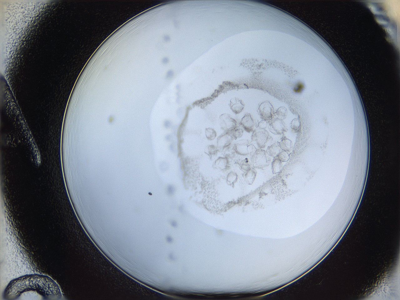 06i4_A12_ImagerDefaults_3.jpg