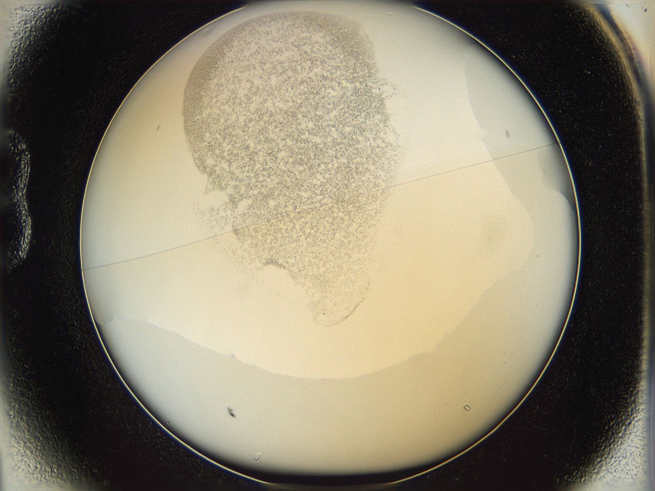 06i4_B1_ImagerDefaults_3.jpg