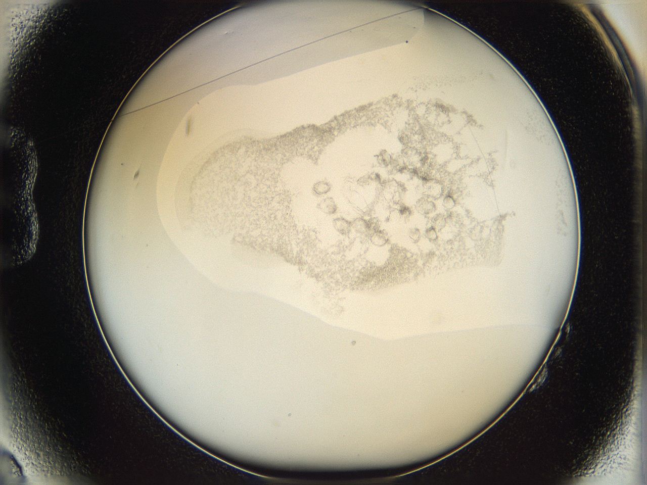 06i4_B2_ImagerDefaults_2.jpg