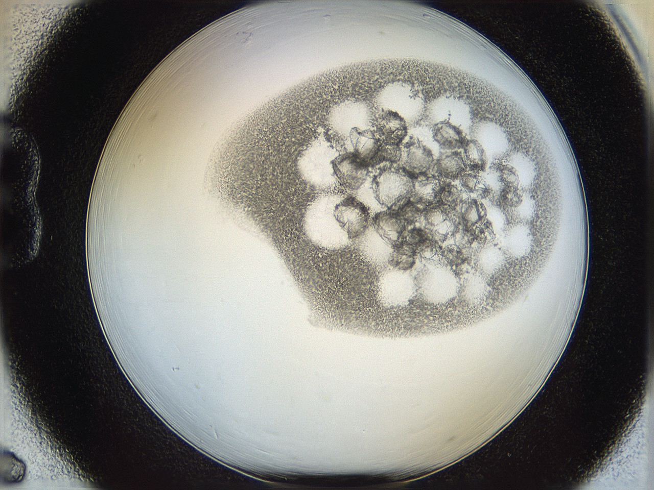 06i4_B6_ImagerDefaults_2.jpg