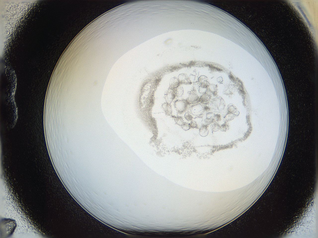 06i4_B7_ImagerDefaults_2.jpg