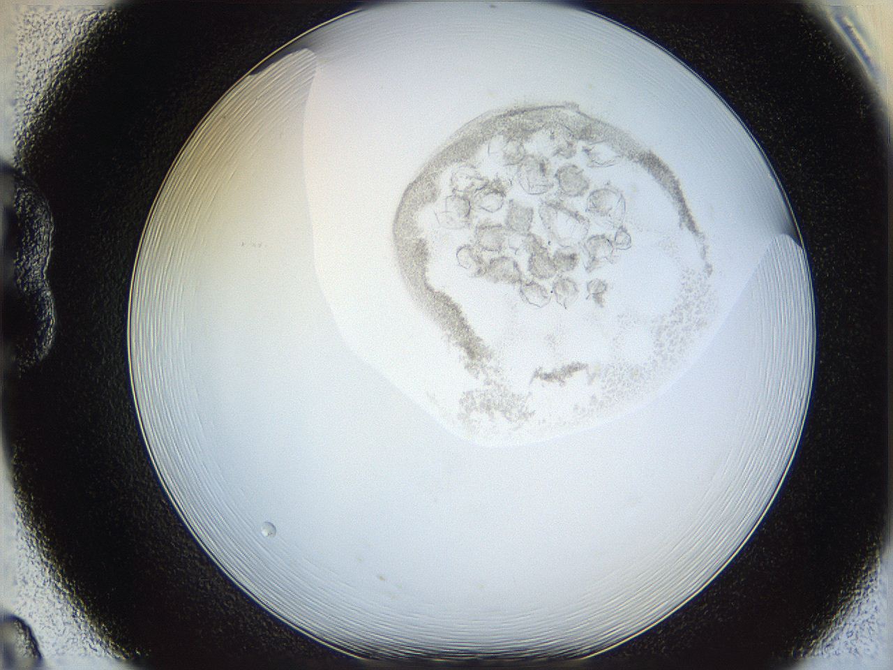 06i4_B8_ImagerDefaults_2.jpg