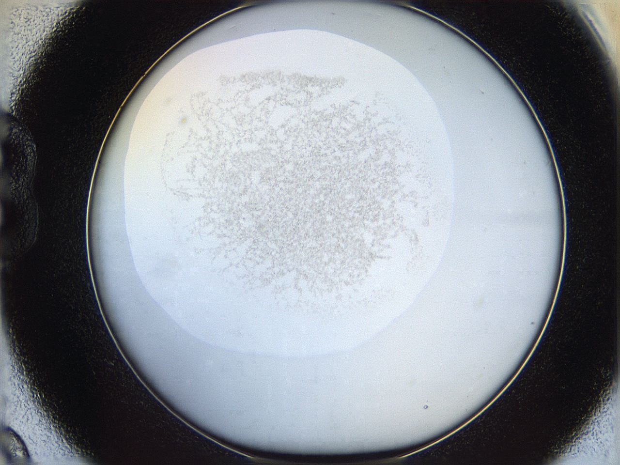 06i4_B9_ImagerDefaults_2.jpg