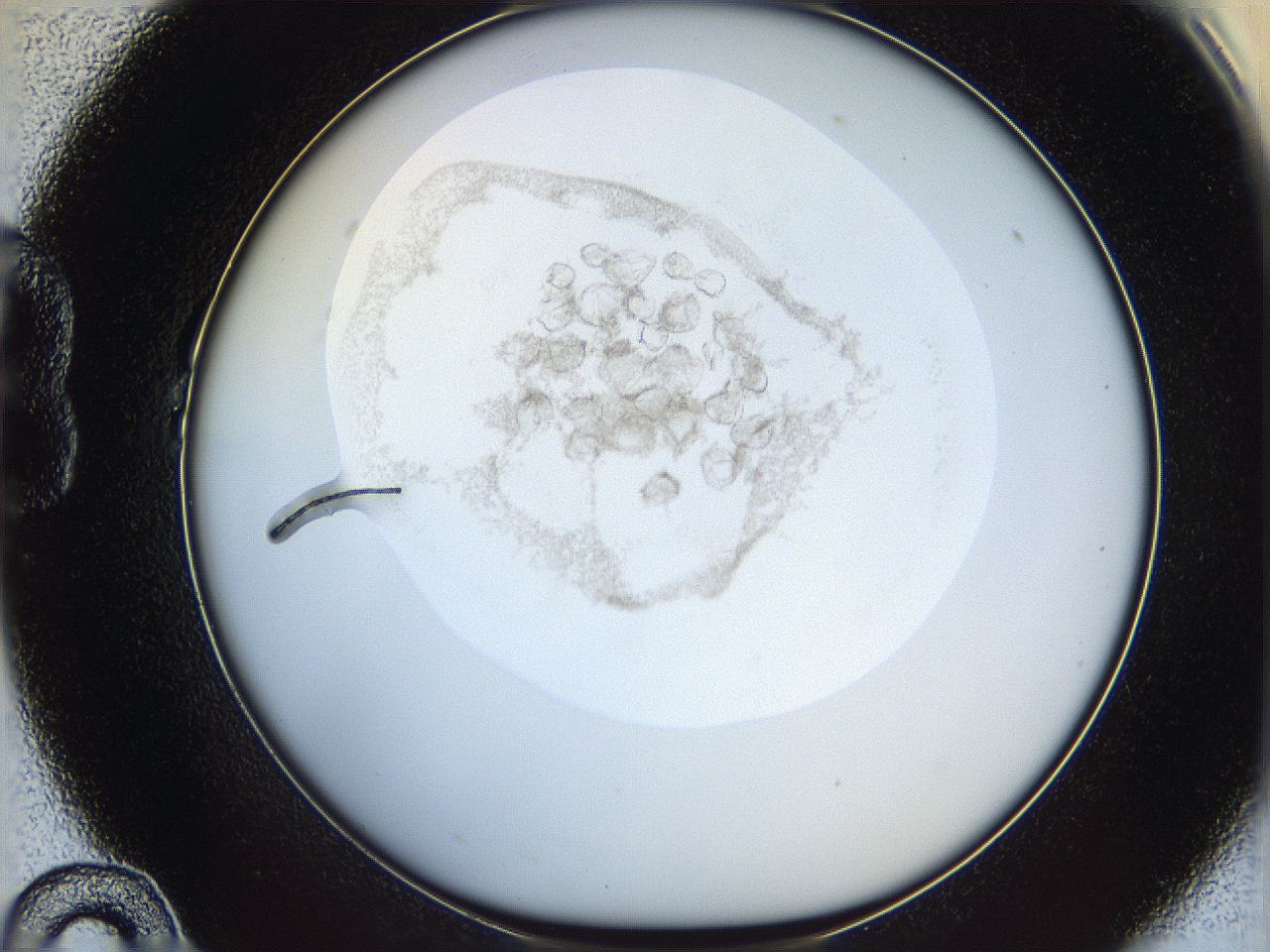 06i4_B10_ImagerDefaults_2.jpg