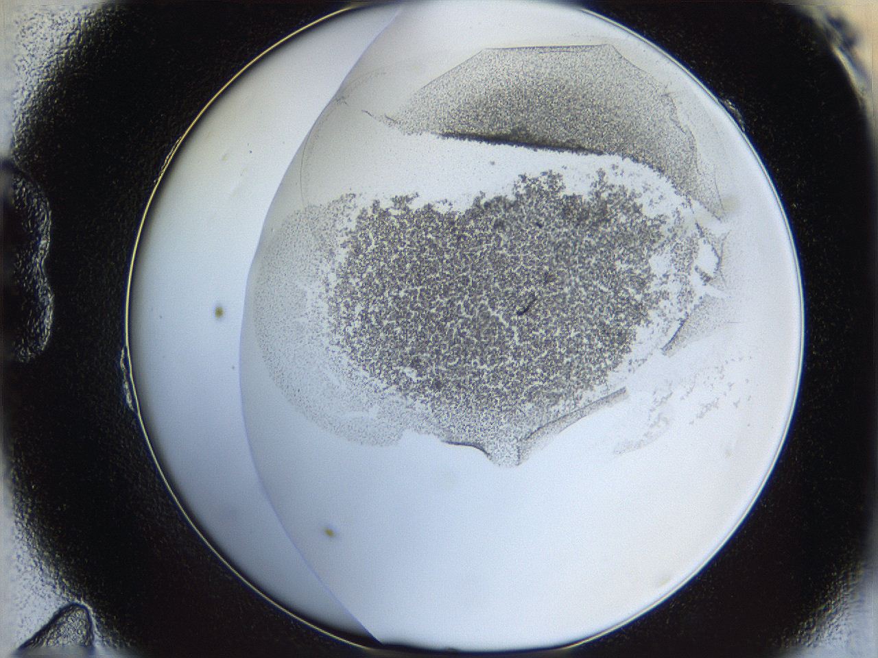 06i4_B11_ImagerDefaults_2.jpg