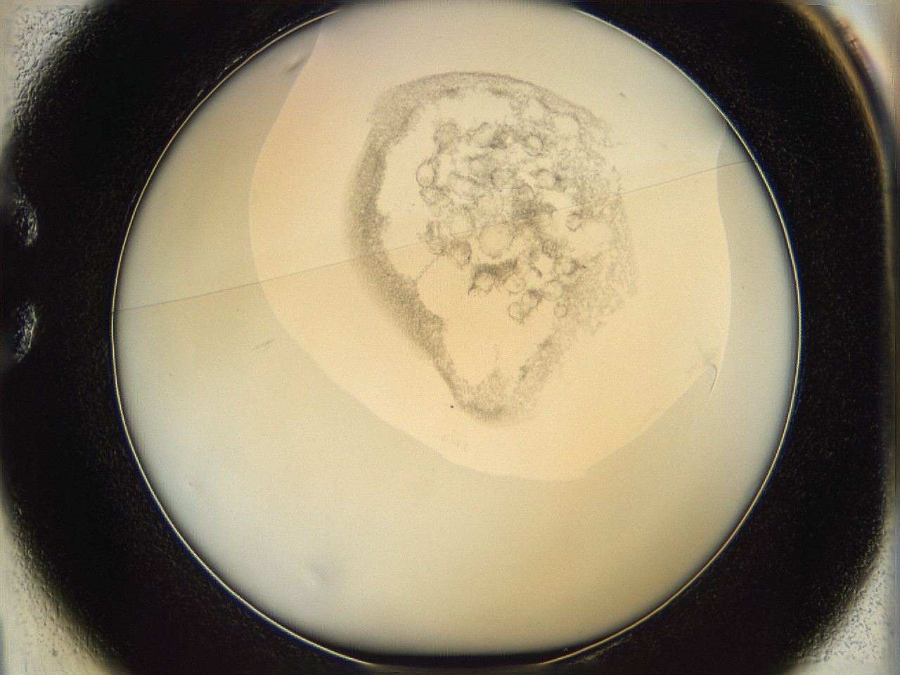 06i4_C1_ImagerDefaults_2.jpg