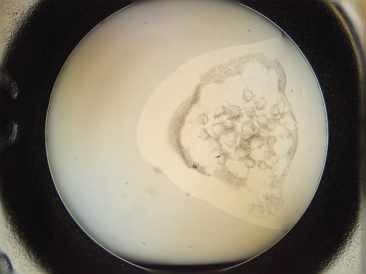 06i4_C2_ImagerDefaults_2.jpg