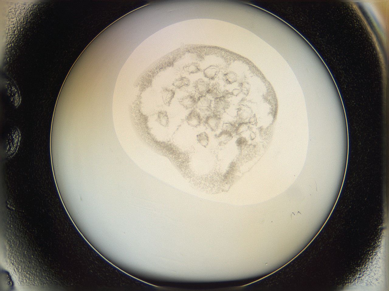 06i4_C3_ImagerDefaults_2.jpg