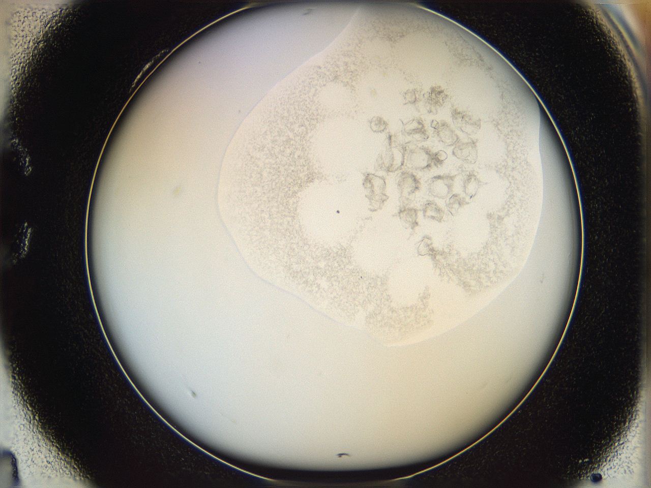 06i4_C4_ImagerDefaults_2.jpg