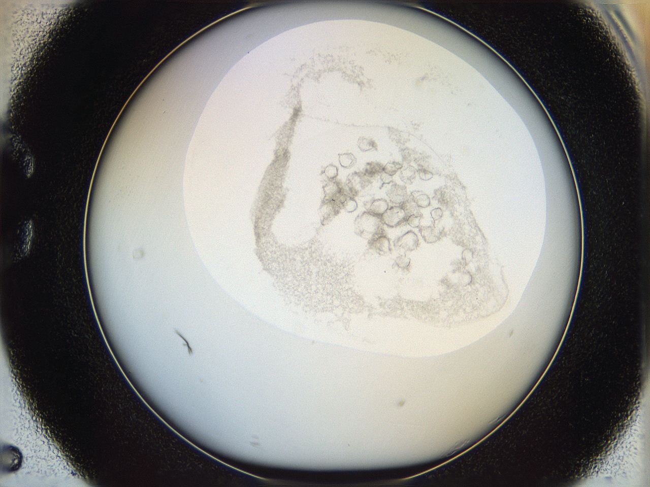 06i4_C5_ImagerDefaults_2.jpg
