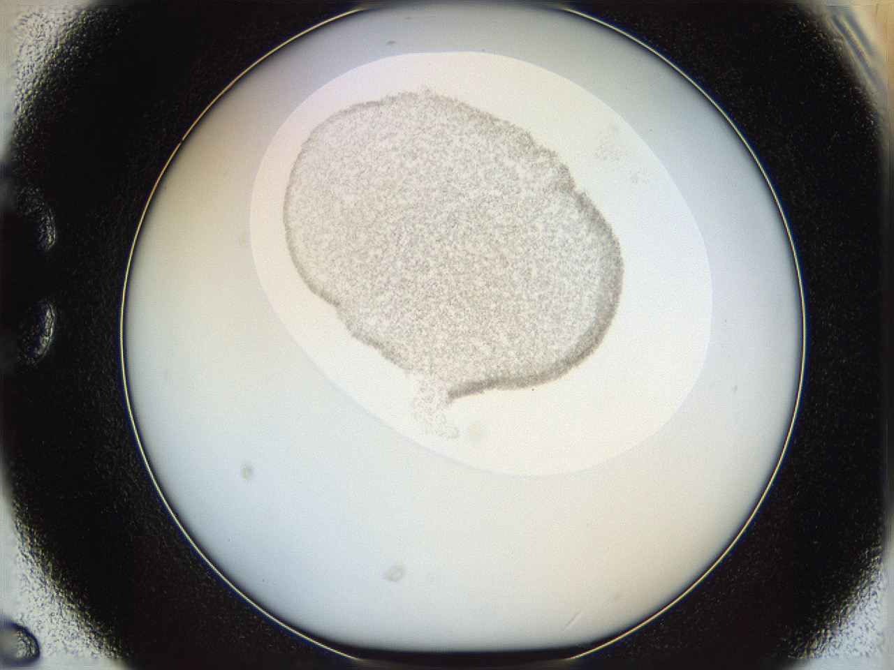 06i4_C6_ImagerDefaults_2.jpg
