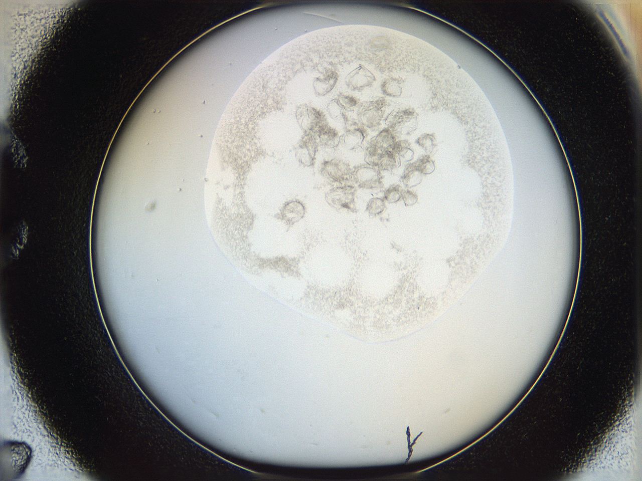 06i4_C7_ImagerDefaults_2.jpg